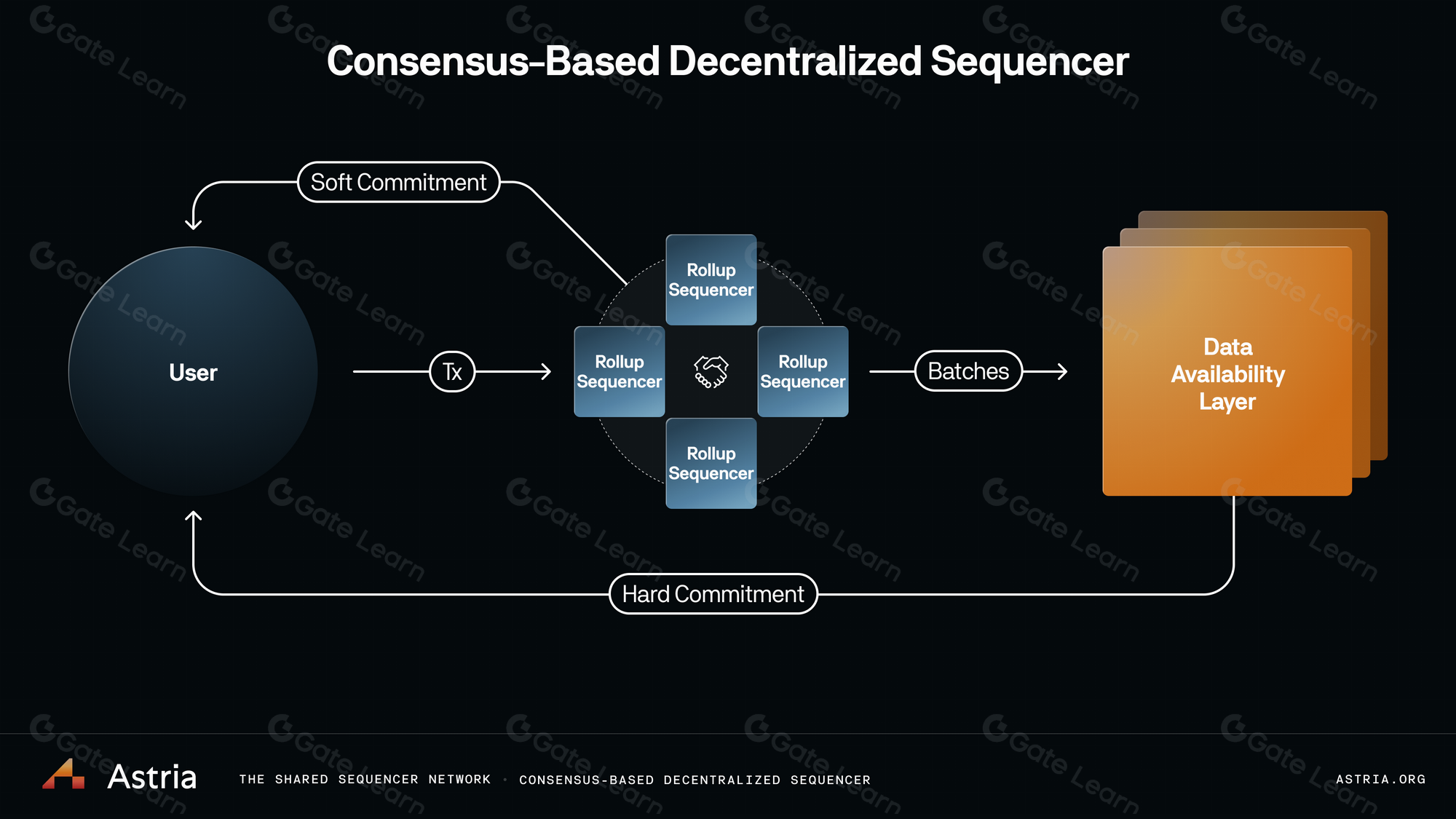 AltLayer shared sequencer